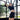 Women's Classic Freedom Leather - Tan - Bar Swing Action Lifestyle Shot